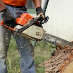 Arborist using a chainsaw to cut a tree during a tree removal