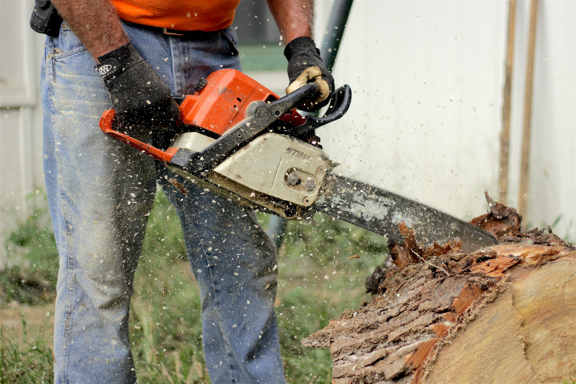 Tree Removal Cost in Buffalo, NY: The 2026 Price Guide