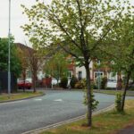 Tree-lined suburban street with houses and street trees along the sidewalk